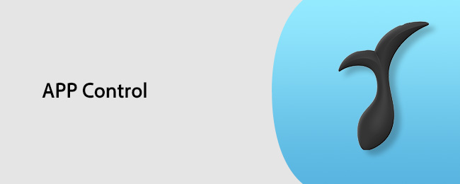 Adult Store Remote Control Vibrator