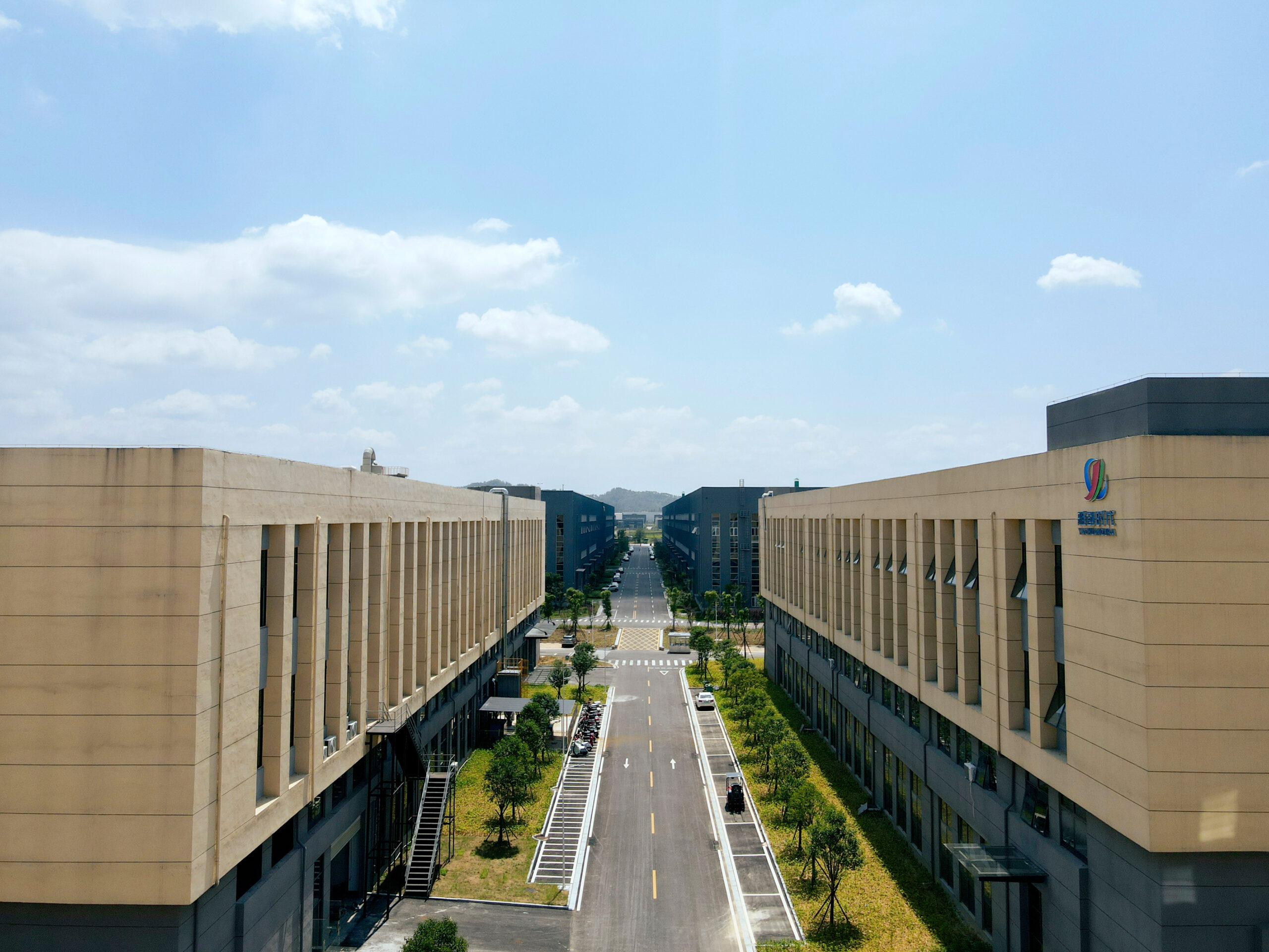 Adult Shop Detailed Introduction plant