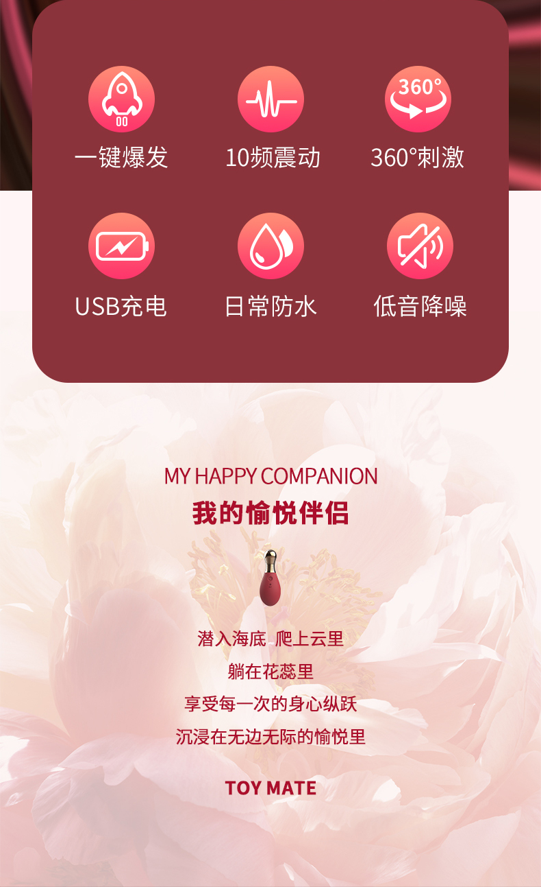 MINI Vibrator Introduction