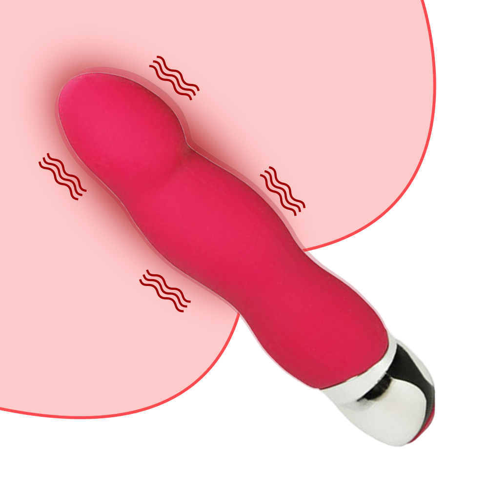 Womanizer Vibrator