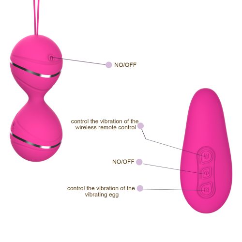 Couples Egg Vibrator