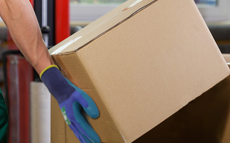 Logistics YaLove Plain Packaging Logistics